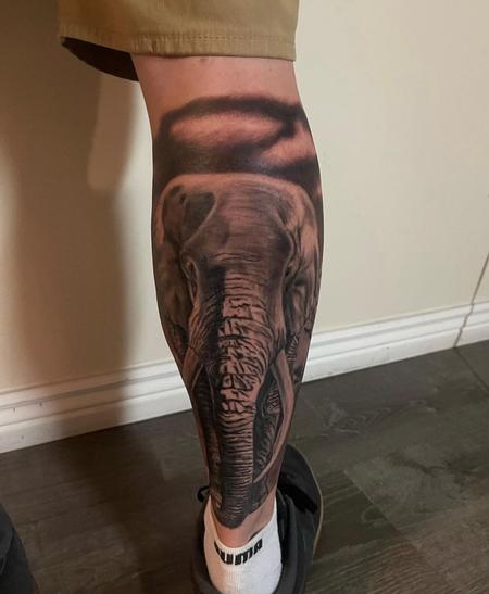 Tattoos - Ryan Cumberledge Elephant - 144847